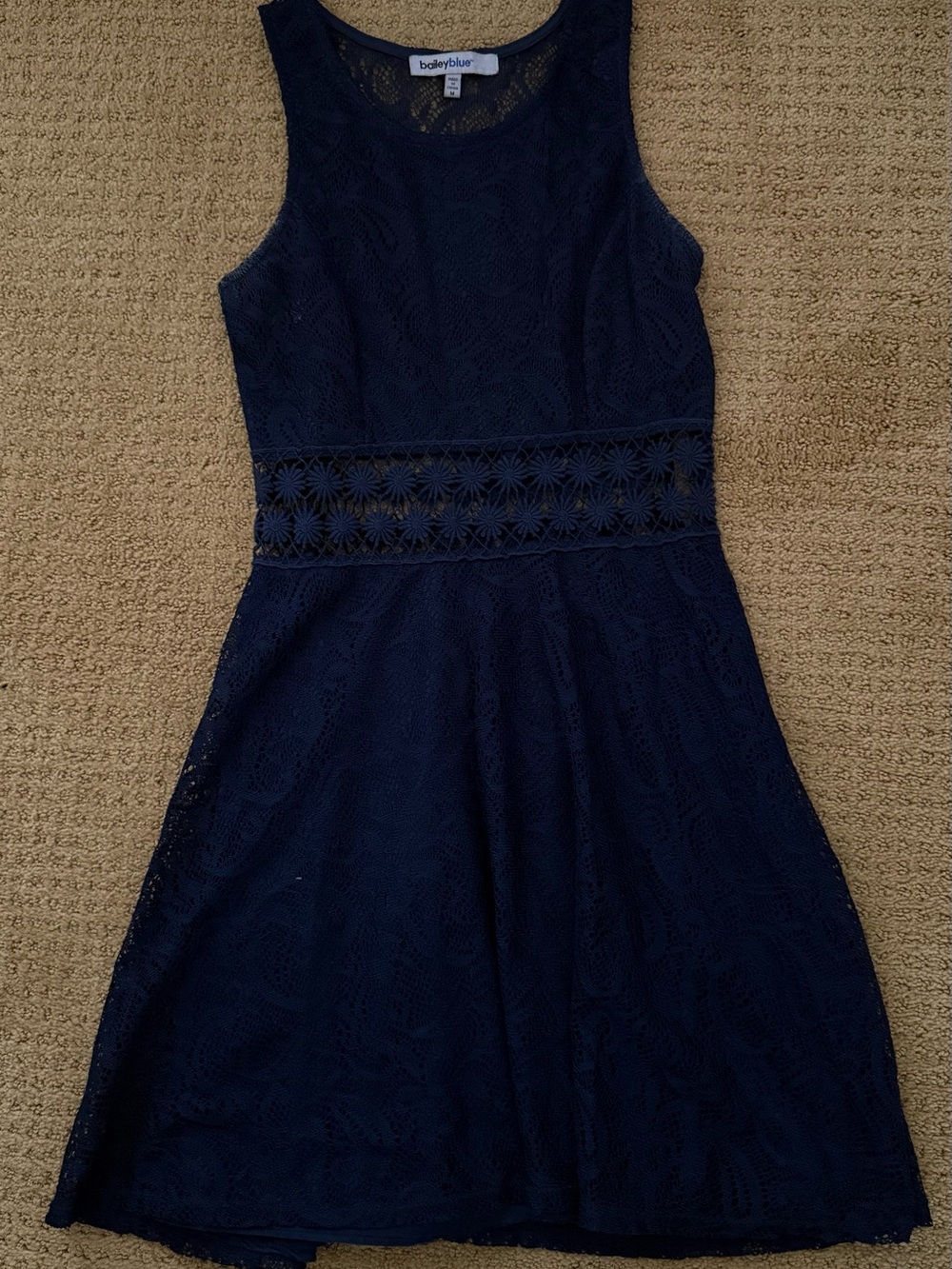bailey blue Navy Lace Sleeveless Fit-and-Flare Dress